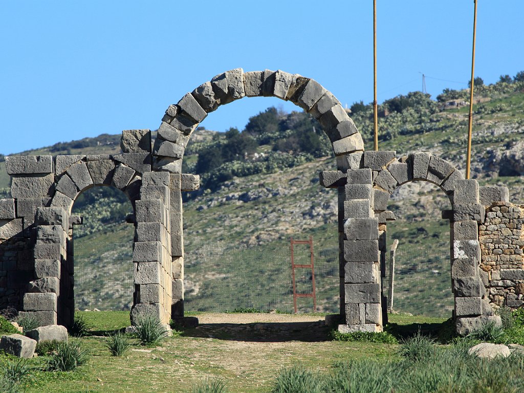 Volubilis 2012 Dec