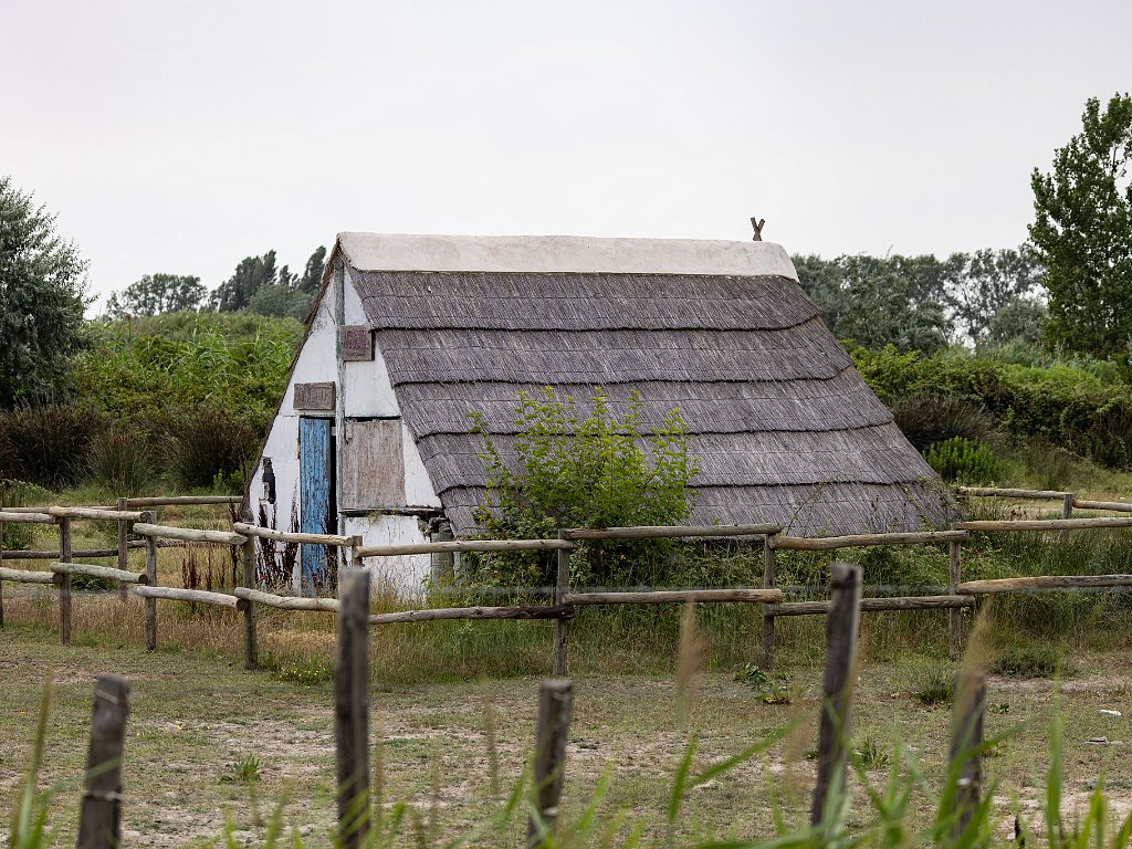 Camargue 2023 Jul